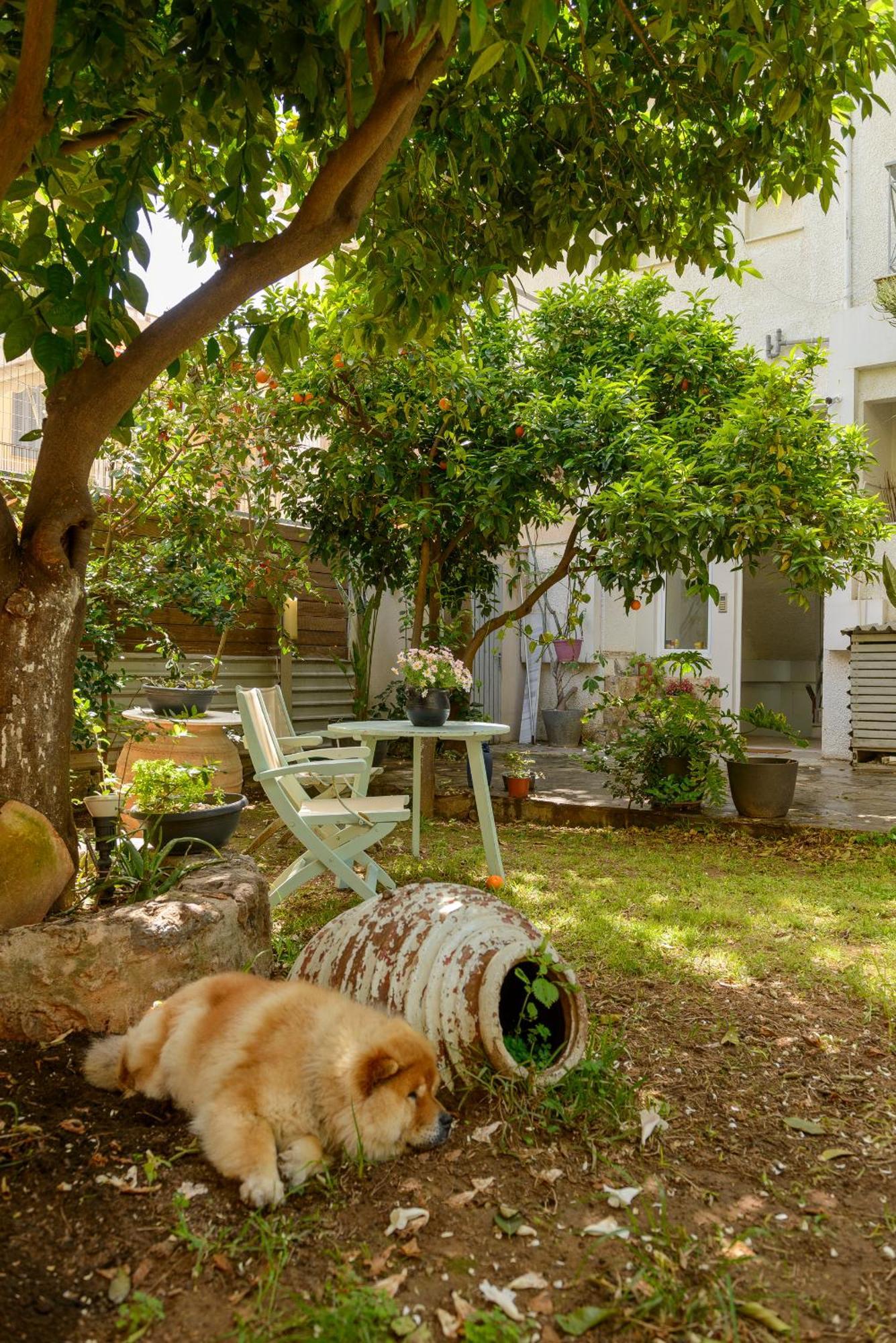 Ferienwohnung Agali 1 Mesonet In Front Of The Sea Akrogiali Exterior foto